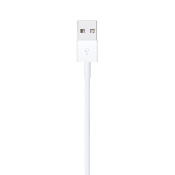 Apple USB auf Lightning Kabel (1m) - USB Anschluss